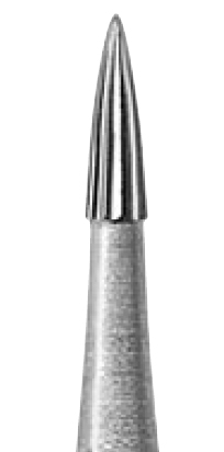 Tandbor Flame